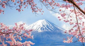[Hoa Anh Đào] Tour Du Lịch Nhật Bản 6N5Đ Osaka-Tokyo | Hà Nội Bay VNA
