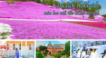 [Tour Hokkaido] Tận Hưởng Kỳ Nghỉ Lễ 30/4 Tại Hokkaido 5N6Đ | TP HCM Bay Japan Airlines