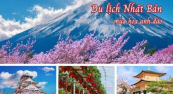 [Hoa Anh Đào] Tour Nhật Bản 5N5Đ Tokyo-Osaka | TP HCM Bay VNA