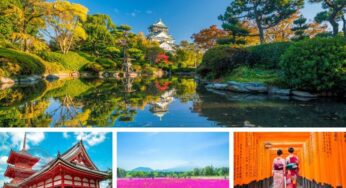 [Hè rực rỡ] Tour Nhật Bản 6N5Đ Osaka-Tokyo| Hà Nội bay VNA