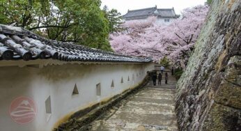 Lâu đài hạc trắng Himeji, lâu đài cổ kính, tráng lệ đẹp nhất Nhật bản