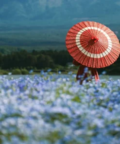 Khám phá núi Phú sĩ và Hồ Kawaguchi từ Tokyo