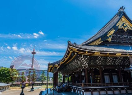 CUNG ĐƯỜNG VÀNG SHOW CÁ NGỪ – RỪNG TRÚC ARASHIYAMA: HN – Osaka – Kyoto – Phú Sĩ – Tokyo – HN, 6N5Đ, Bay VJ
