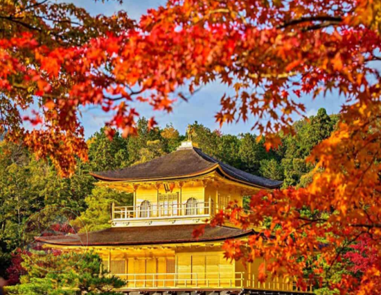 CUNG ĐƯỜNG VÀNG: Hà Nội – Osaka – Kyoto – Phú Sĩ – Tokyo | 6N5Đ, Bay VNA | Giá 35,9 triệu