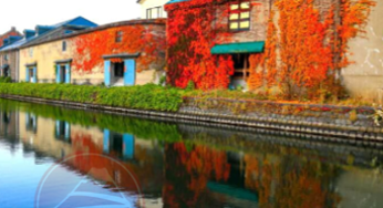 HOKKAIDO MÙA THU: Asahikawa – Sapporo – Tokyo | 6N5Đ, Bay NH | Giá 39,9 triệu