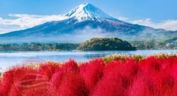 CUNG ĐƯỜNG VÀNG: Hà Nội – Osaka – Kyoto – Phú Sĩ – Tokyo | 6N5Đ, Bay VJ | Giá 33,9 triệu