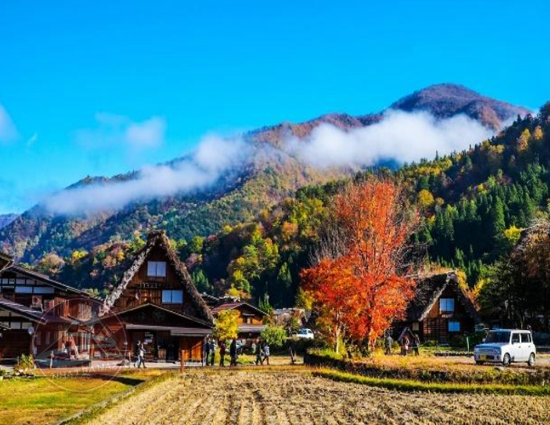 LÀNG CỔ SHIRAKAWAGO MÙA THU: Hà Nội – Shirakawago – Kurobe Kyokoku – Phú Sĩ – Tokyo | 6N5Đ, Bay VNA | Giá 37,9 triệu