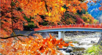 CUNG ĐƯỜNG VÀNG: Hà Nội – Tokyo – Phú Sĩ – Osaka – Kyoto | 6N5Đ, Bay VNA | Giá 35,9 triệu