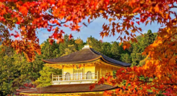 CUNG ĐƯỜNG VÀNG: TP.HCM – Osaka – Kyoto – Nagoya – Phú Sĩ – Tokyo | 5N5Đ | Bay VNA | Giá 34,9 triệu