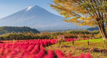 CUNG ĐƯỜNG VÀNG: TP.HCM – Osaka – Kyoto – Nagoya – Phú Sĩ – Tokyo | 5N5Đ | Bay VJ | Giá 30,9 triệu