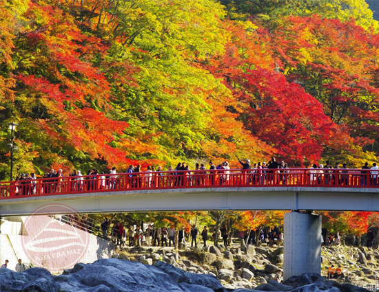 CUNG ĐƯỜNG VÀNG: TP.HCM – Osaka – Kyoto – Nagoya – Phú Sĩ – Tokyo | 5N5Đ | Bay VNA | Giá từ 33,9 triệu
