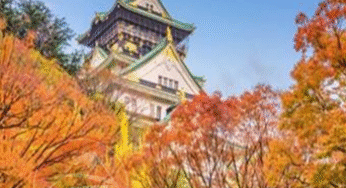 DU LỊCH NHẬT BẢN MÙA THU: HÀ NỘI – OSAKA – KYOTO – PHÚ SĨ – TOKYO | 6N5Đ , Bay VNA | Giá: 35,9 triệu