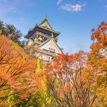 DU LỊCH NHẬT BẢN MÙA THU: HÀ NỘI – OSAKA – KYOTO – PHÚ SĨ – TOKYO | 6N5Đ , Bay VNA | Giá: 35,9 triệu