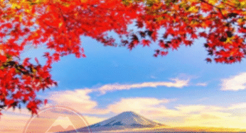 DU LỊCH NHẬT BẢN MÙA THU: HÀ NỘI – OSAKA – KYOTO – PHÚ SĨ – TOKYO | 6 ngày 5 đêm | Bay VNA | giá 35,9 triệu