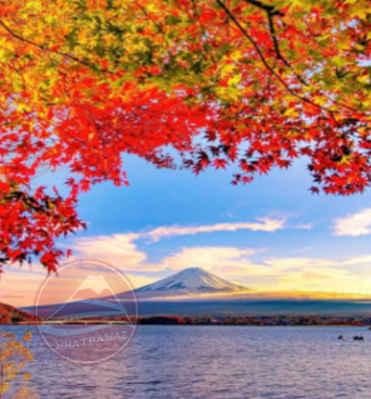 DU LỊCH NHẬT BẢN MÙA THU: HÀ NỘI – OSAKA – KYOTO – PHÚ SĨ – TOKYO | 6 ngày 5 đêm | Bay VNA | giá 35,9 triệu
