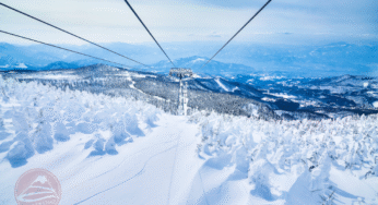 Lơ lửng giữa biển tuyết Zao