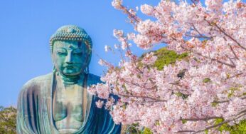 DU LỊCH NHẬT NGẮM ANH ĐÀO Tokyo – Phú Sĩ – Nagoya – Kyoto – Osaka | 5N5Đ | Bay: VNA | Giá: 39,9 triệu