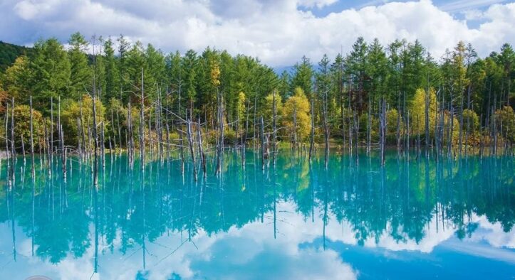 TẬN HƯỞNG KỲ NGHỈ 30/4 – 1/5 TẠI HOKKAIDO: ASAHIKAWA – SAPPORO – OTARU – NOBORIBETSU | 7N6Đ | Bay: JL | Giá: 49,9 triệu