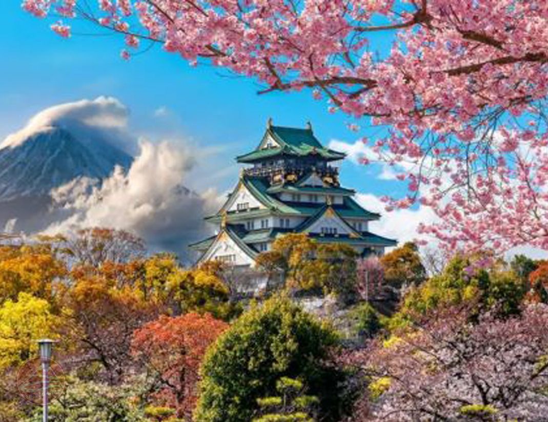 DU LỊCH NHẬT BẢN MÙA XUÂN: HÀ NỘI – LÀNG CỔ SHIRAKAWAGO – PHÚ SĨ – TOKYO | 6N5Đ | Bay: VNA | Giá: 39,9 triệu