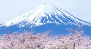 DU LỊCH NHẬT BẢN MÙA HOA ANH ĐÀO SỚM: TP.HCM – OSAKA – KYOTO – PHÚ SĨ – TOKYO | 5N5Đ | Bay: VNA | Giá: 35,9 triệu