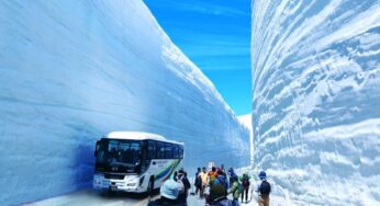 DU LỊCH NHẬT BẢN TUẦN LỄ VÀNG Cung đường tuyết Tateyama Kurobe Alpine: Hà Nội – Nagoya – Shirakawago – Alpine Route – Phú Sĩ – Tokyo | 6N5Đ | Bay: VNA