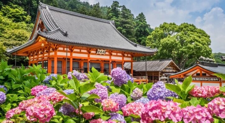 VI VU NHẬT – ĐÓN HÈ CHẤT: TP.HCM – OSAKA – KYOTO – PHÚ SĨ – TOKYO | 5N5Đ | Giá 34,9tr | Bay VNA