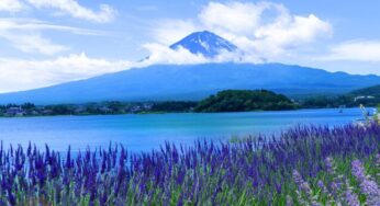 DU LỊCH NHẬT BẢN MÙA HÈ: HÀ NỘI – OSAKA – KYOTO – PHÚ SĨ – TOKYO | 6N5Đ | Bay: VNA | Giá từ: 33,9 triệu