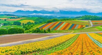 DU LỊCH NHẬT BẢN TẠI HOKKAIDO: ASAHIKAWA – SAPPORO – OTARU – NOBORIBETSU | 7N6Đ | Bay: JL | Giá: 46,9 triệu