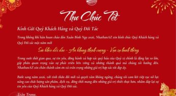 Xuân Bính Ngọ 2026 – Lời Tri Ân Và Chúc Mừng Năm Mới