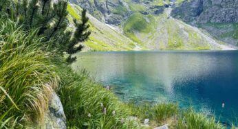 Khí hậu Hokkaido mùa hè: Vì sao được ví như “châu Âu thu nhỏ”?