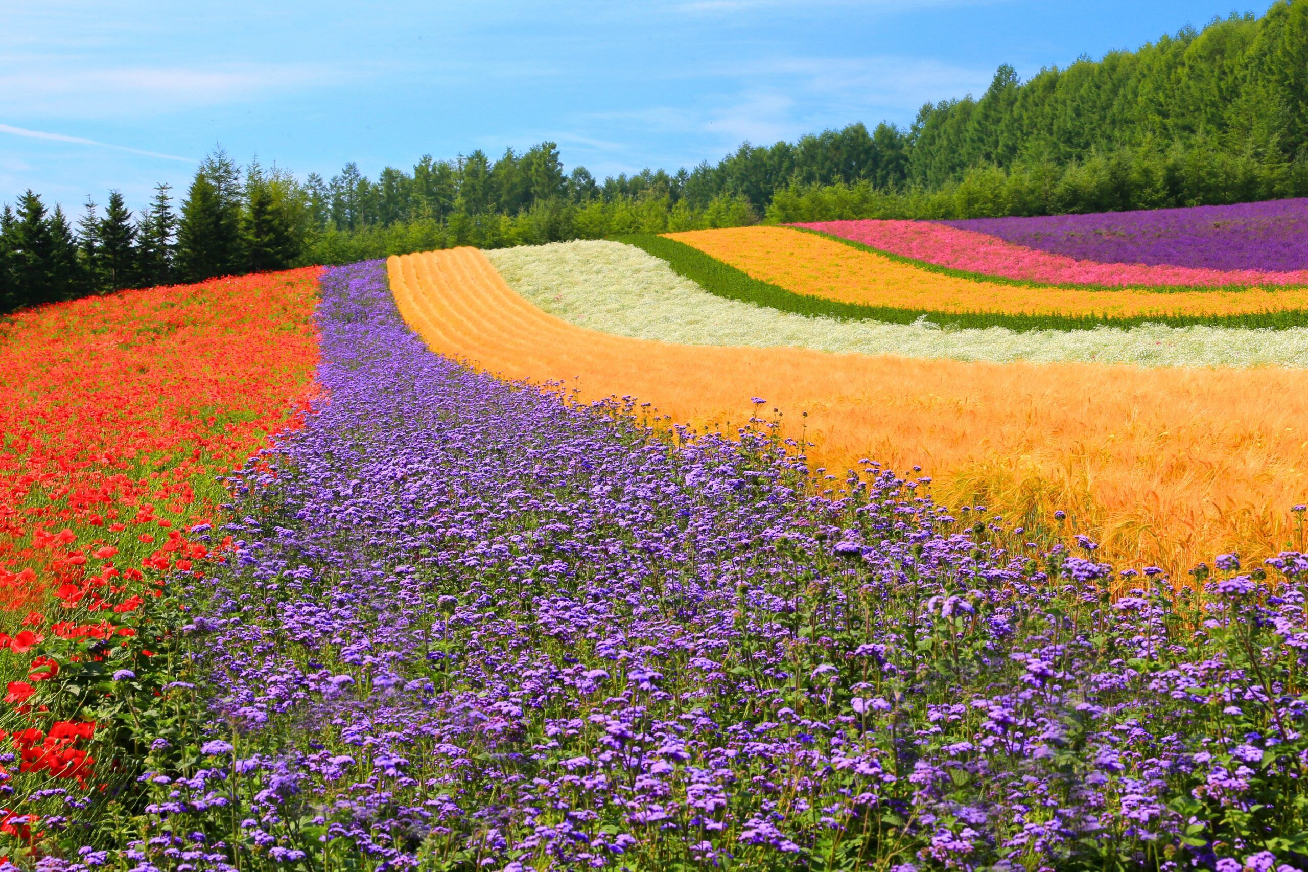 Hokkaido châu Âu thu nhỏ