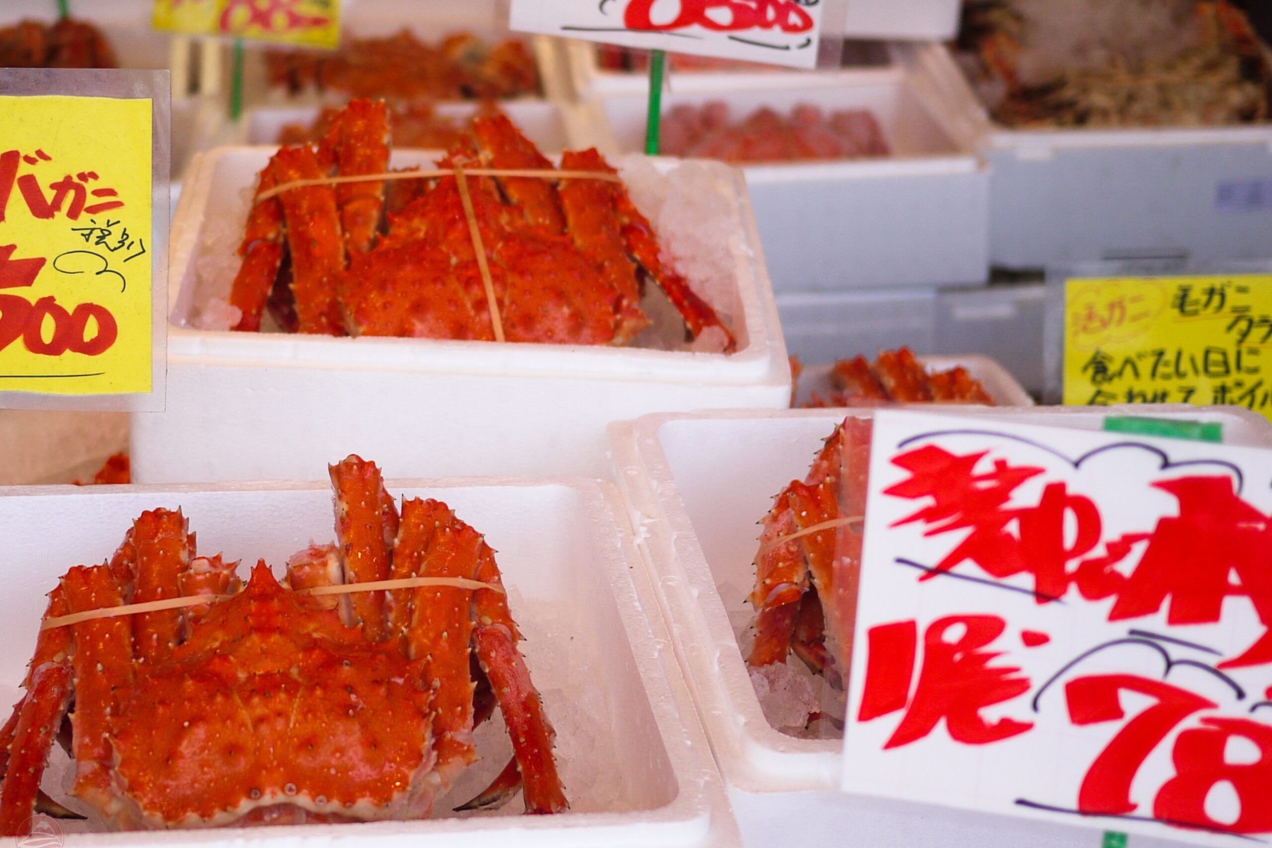 Kinh nghiệm ăn uống khi du lịch Hokkaido mùa hè