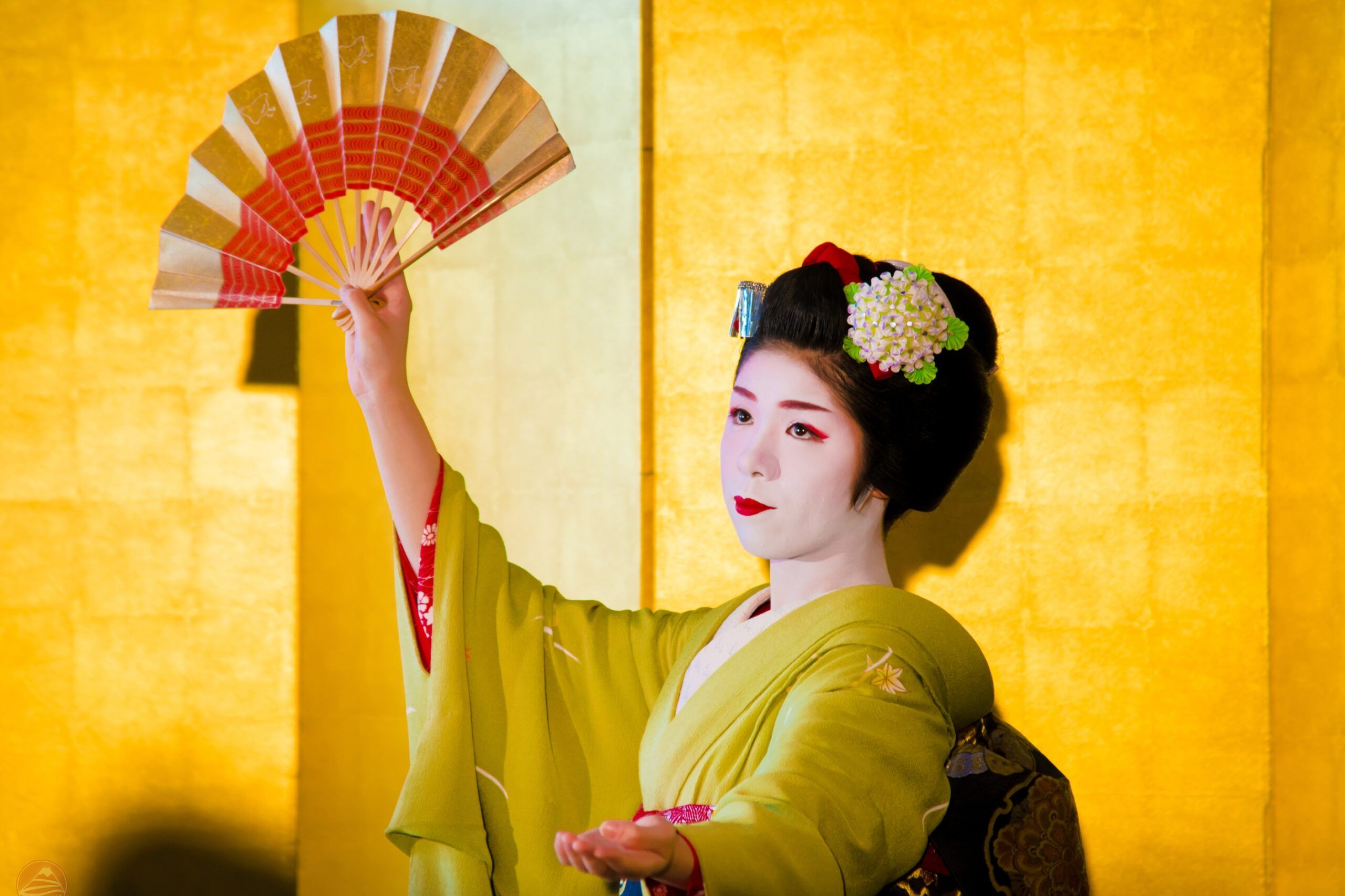 Thưởng thức show Geisha truyền thống