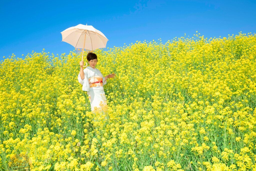 nên đi Nhật theo tour