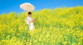 Có nên đi Nhật theo tour để dễ đậu visa hơn không?
