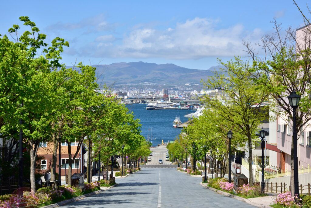 Tour Hokkaido mùa hè