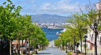 Tour Hokkaido mùa hè phù hợp với ai? Gia đình, cặp đôi hay người thích chill?