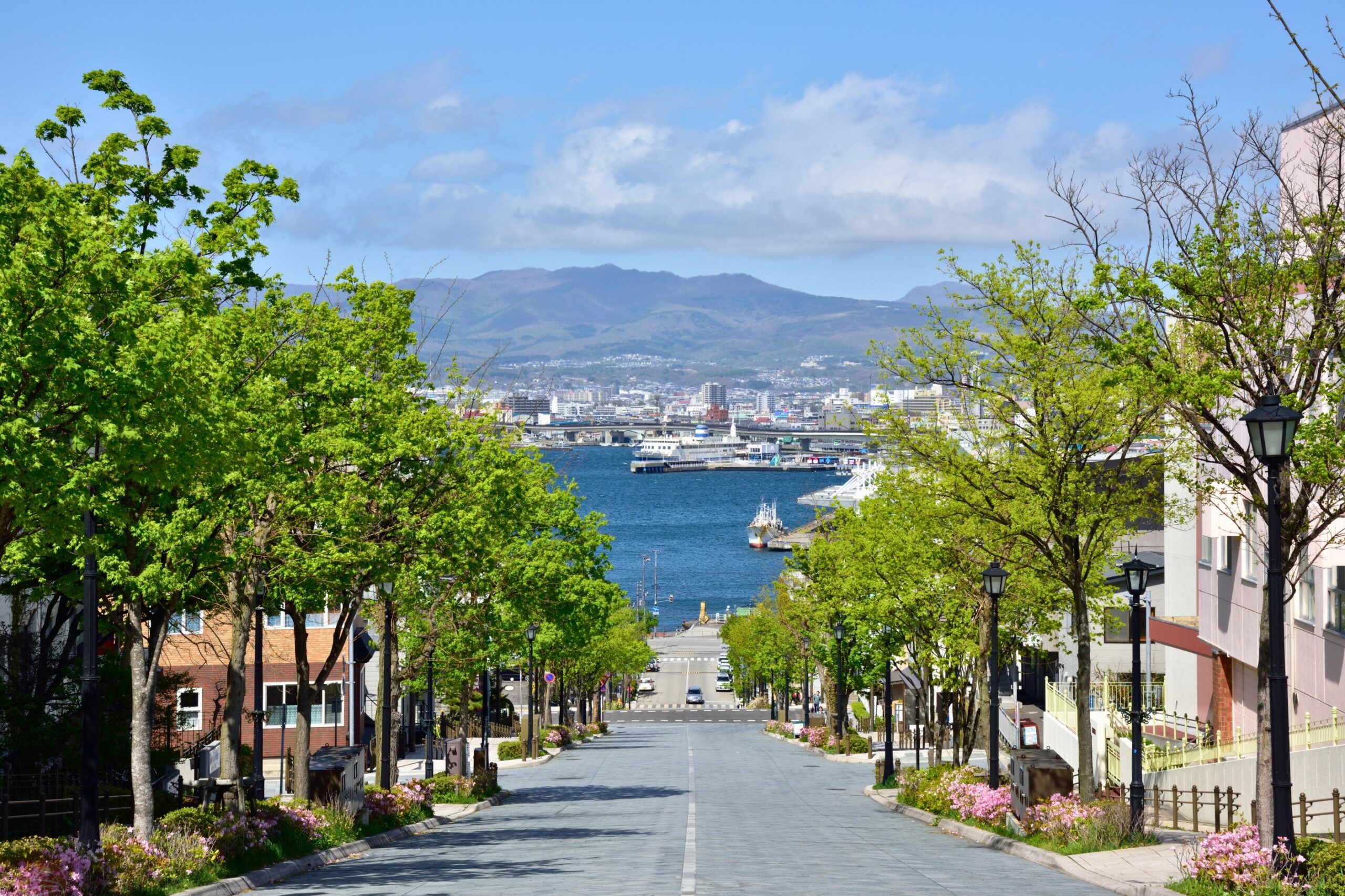 Tour Hokkaido mùa hè