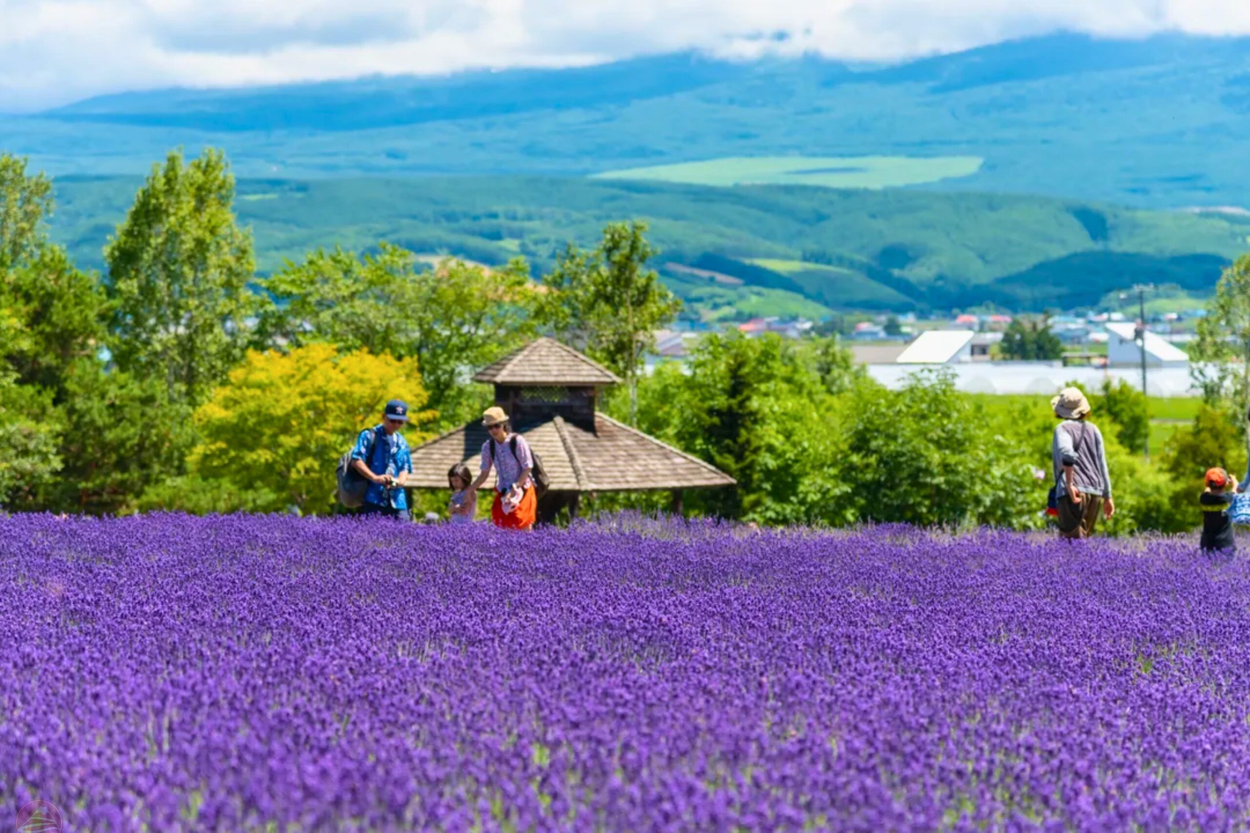 Farm Tomita