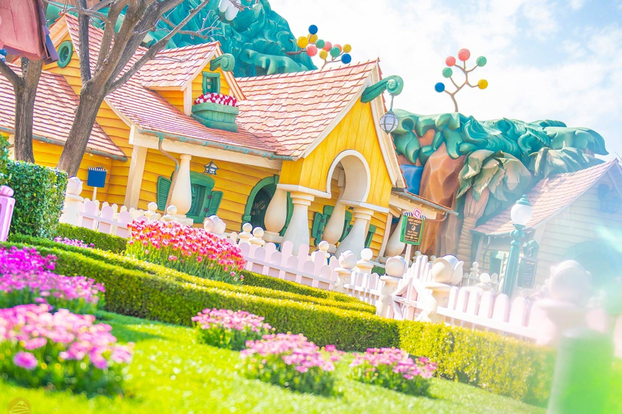 Lần đầu đi công viên Disney - Đi sai thời điểm và không chuẩn bị vé trước