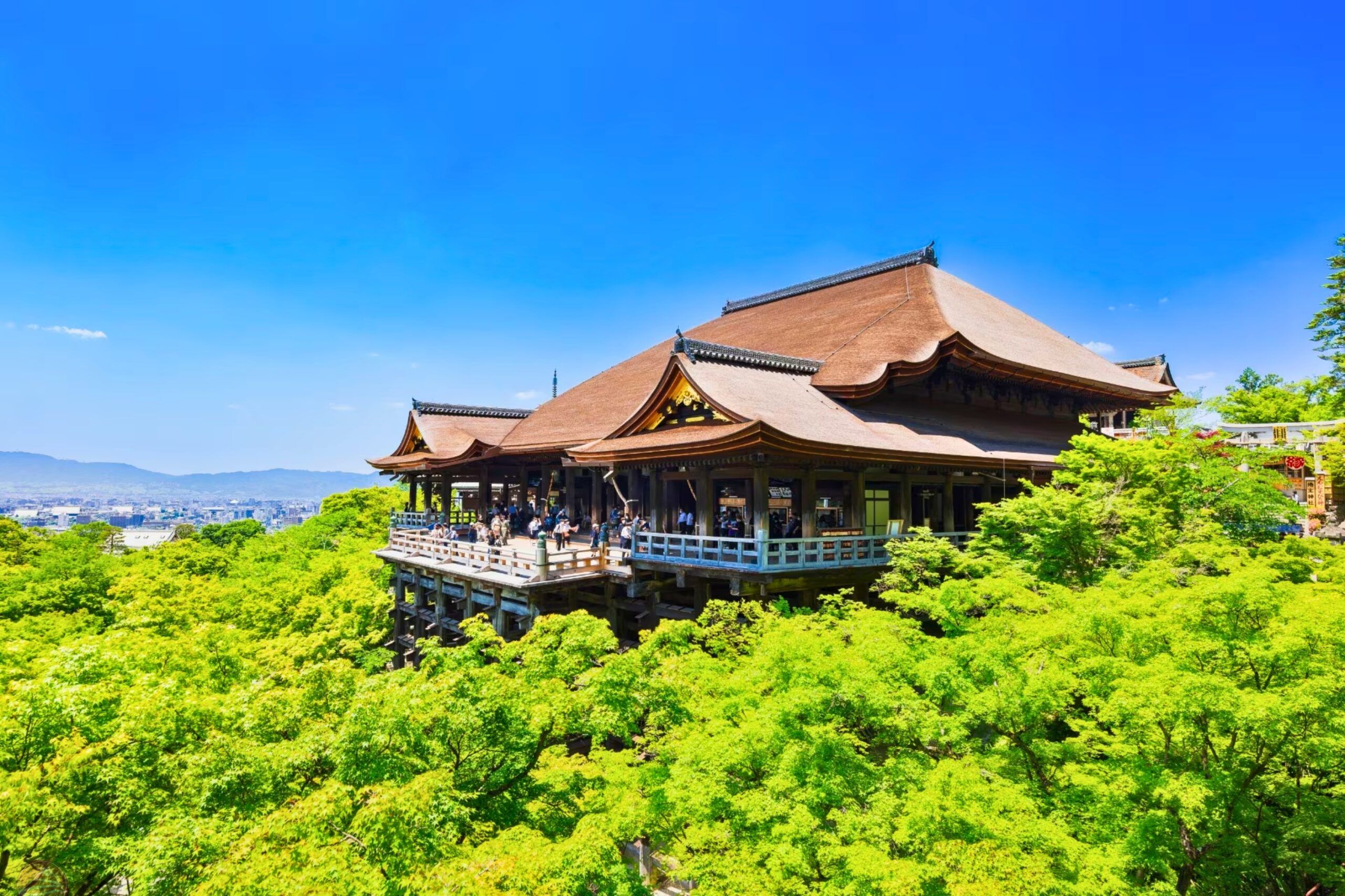 Tour trọn gói Nhật Bản