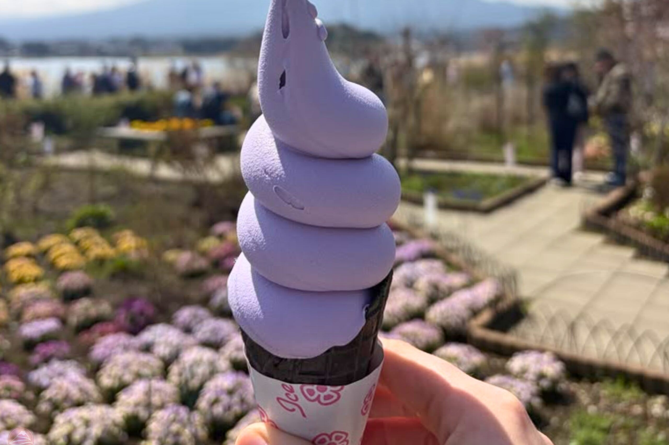 Thưởng thức đặc sản lavender