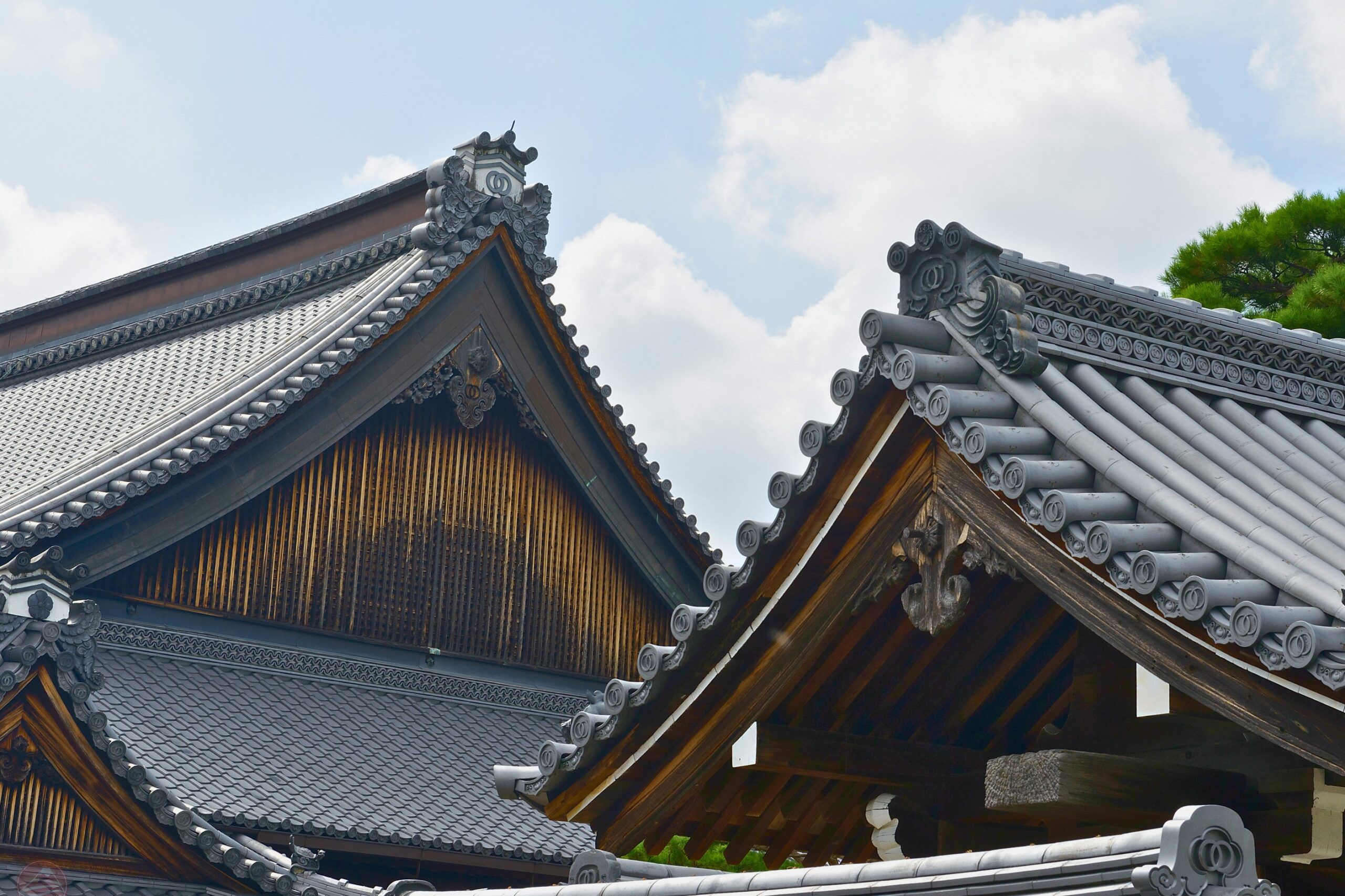 Có nên đi Kyoto tự túc hay đi tour