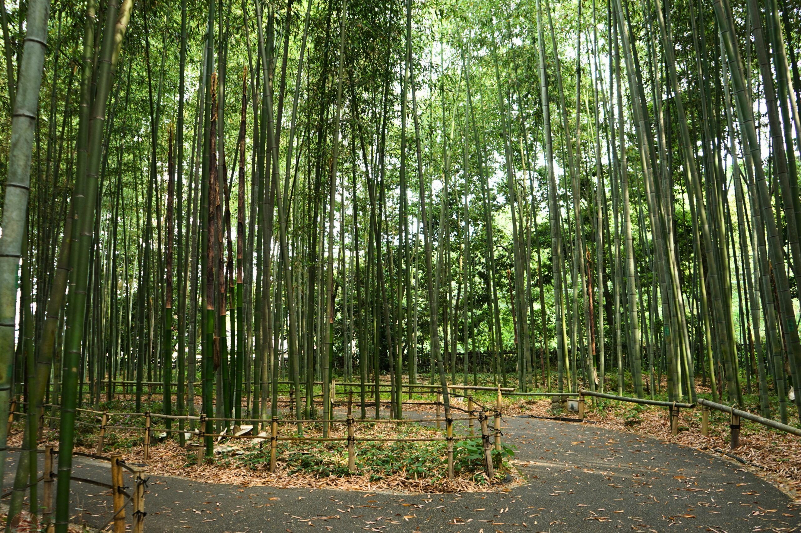 Trang phục phù hợp