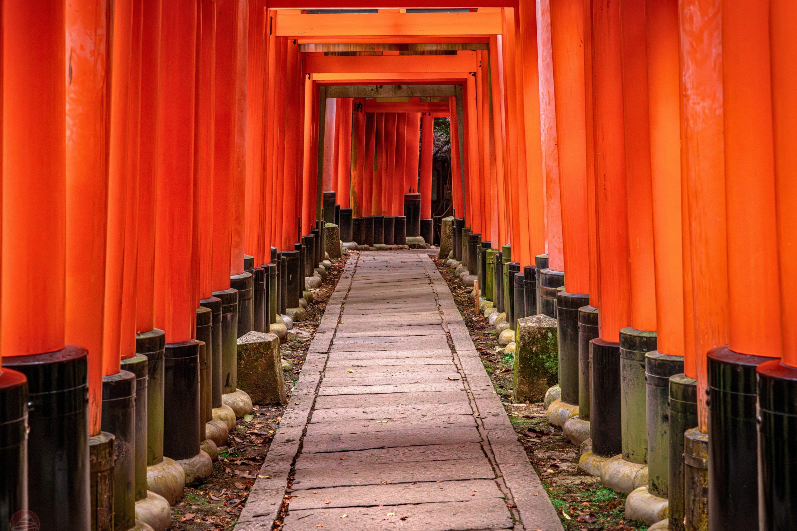 Kyoto mùa hè có gì đặc biệt