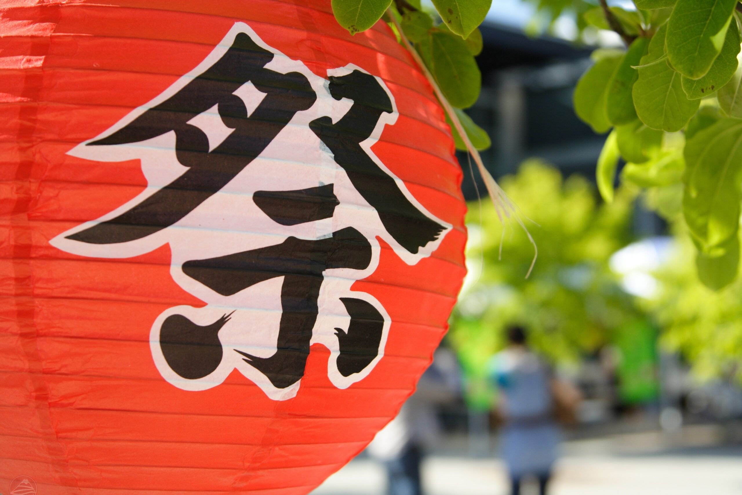 Đi tự túc khi xin visa Nhật lần đầu