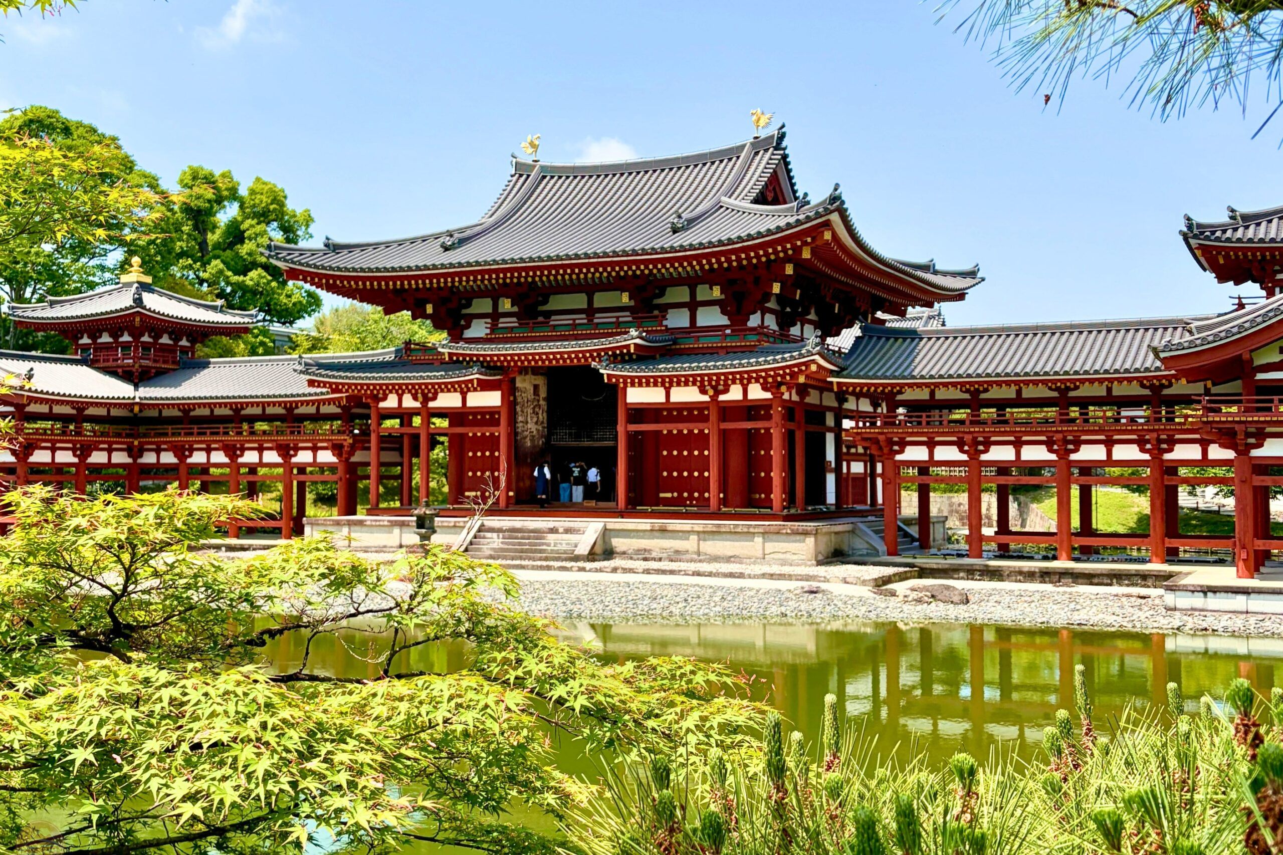 Vì sao nhiều người chọn đi tour thay vì tự túc
