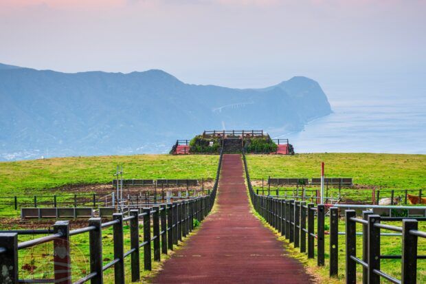 Lưu ý khi đi tour Nhật Bản