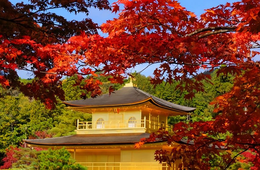 Đền ngàn cổng Fushimi Inari Taisha