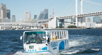 TRẢI NGHIỆM TRƯỢT TUYẾT TẠI NHẬT BẢN: Tokyo – Yamanashi – Nabana No Sato – Kyoto – Osaka | 5N6Đ | Bay: JL | Giá: 48,9 triệu